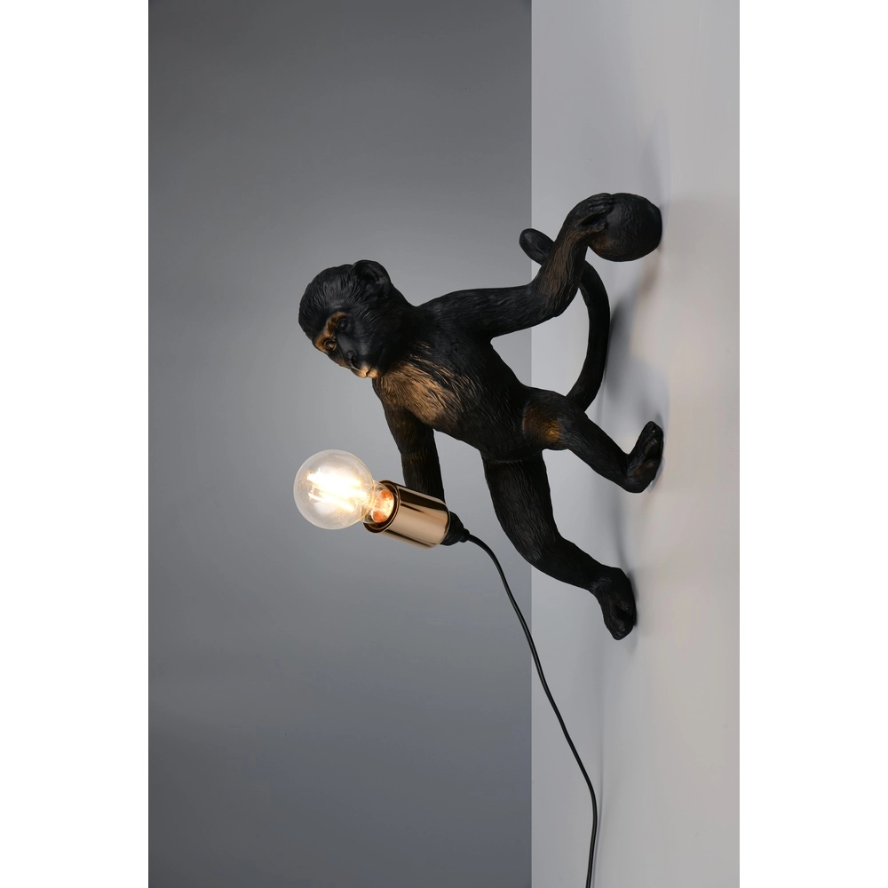 Applique murale Louy Singe Noir Trio 4017807667943