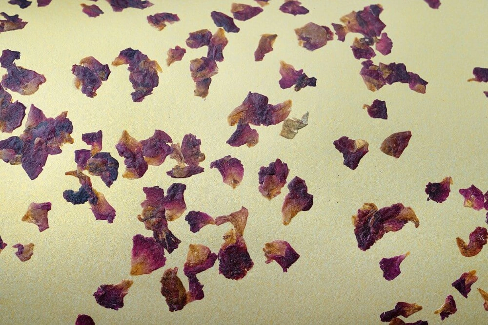 Plafonnier Castuera avec plusieurs couleurs Stars of Light 9008606274529