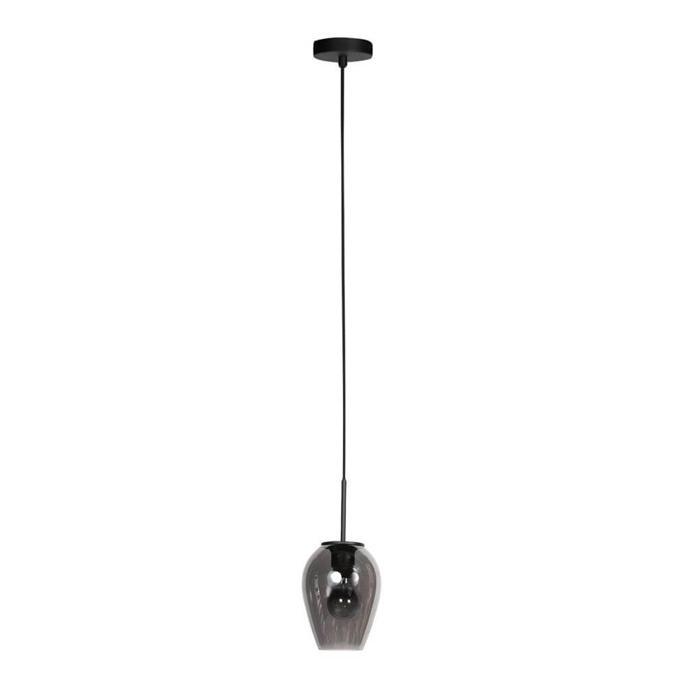 Suspension HaloSwap avec 1 verre à fumée Ø 15cm Steinhauer 8712746179712