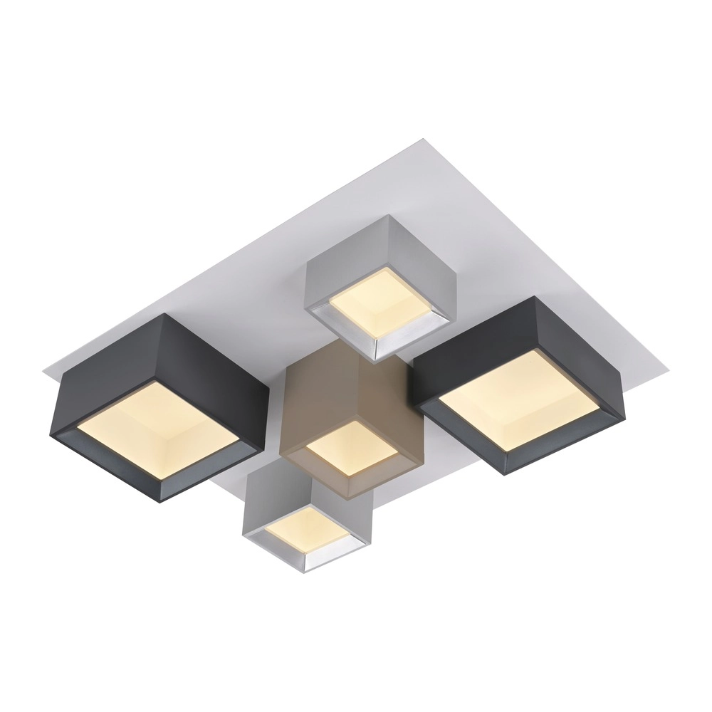 Lumière LED de plafond Pure Manhattan 5 lumières Paul Neuhaus 4012248396889