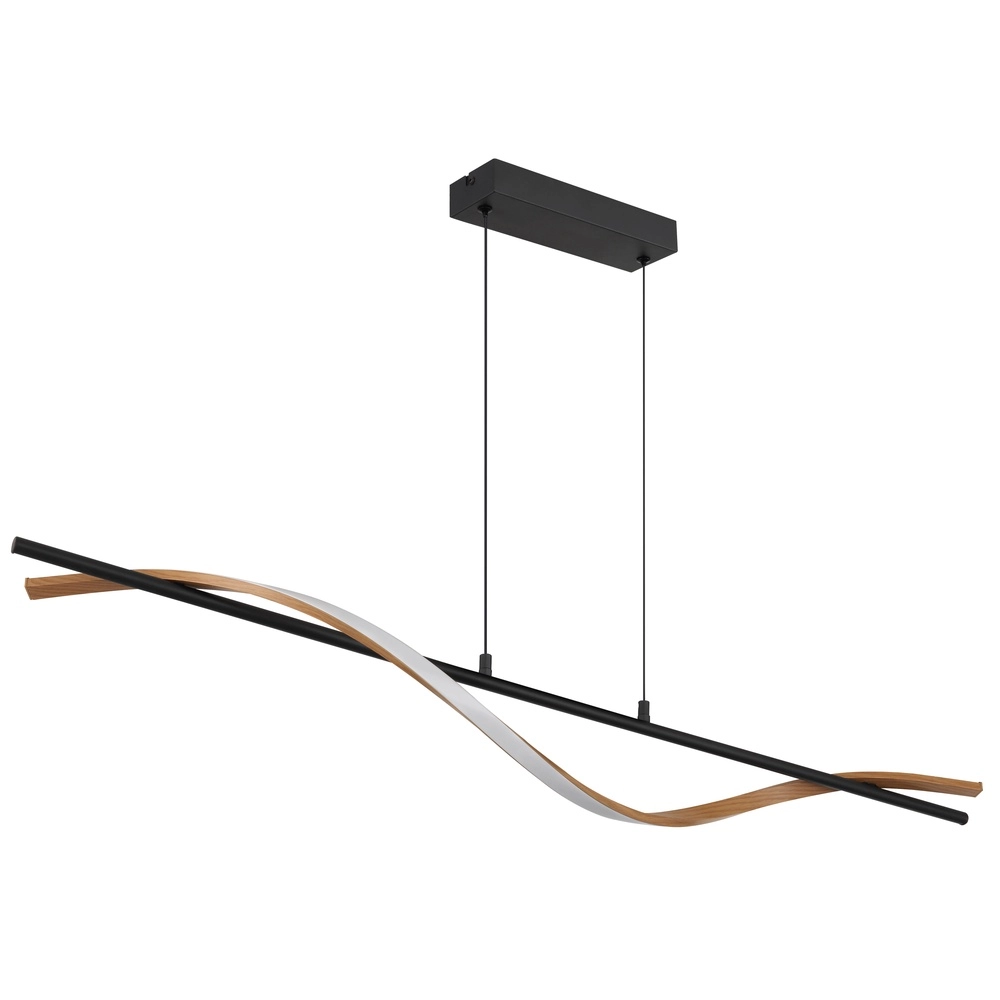 Lampe pendante de conception Watkins Noir Globo 9007371533749