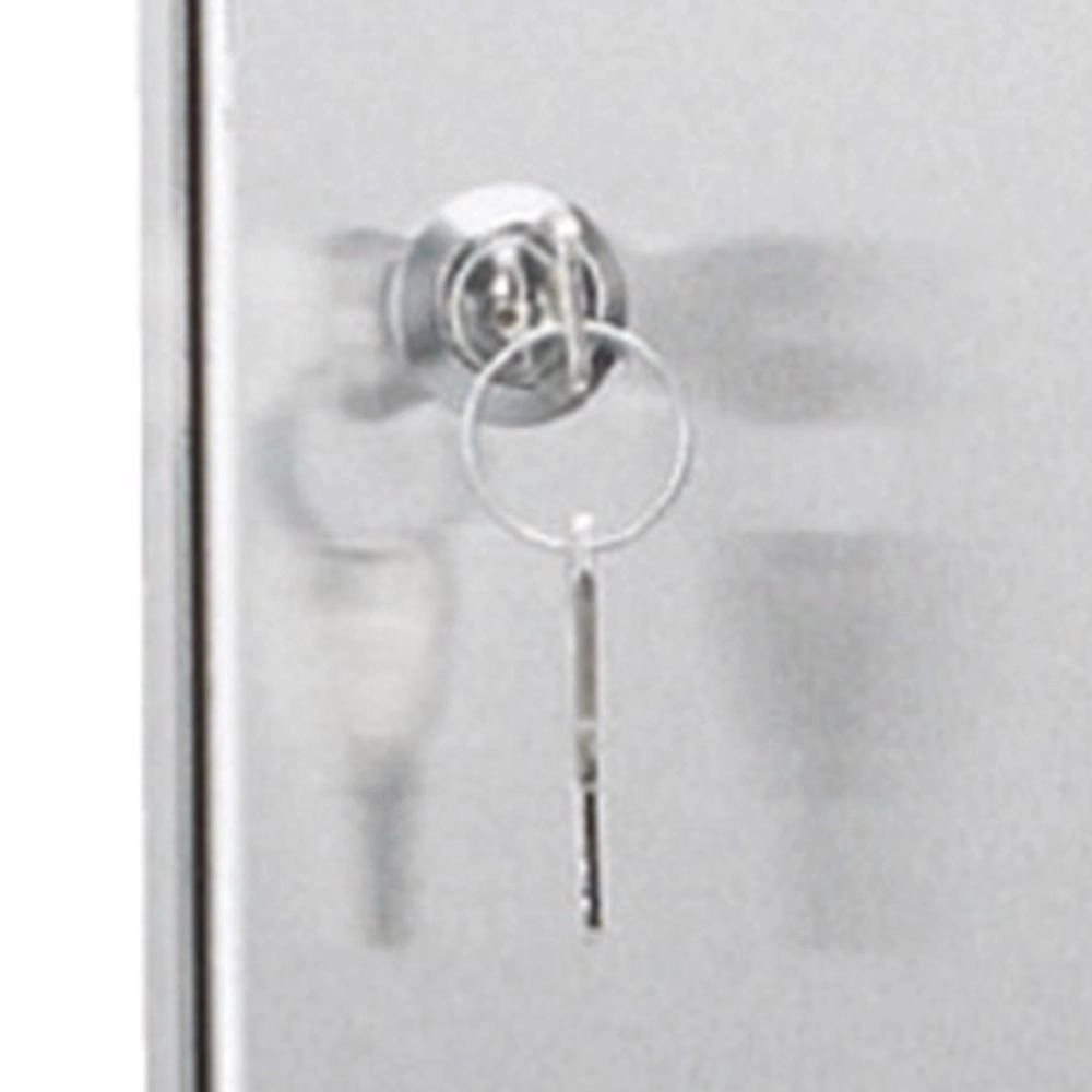 Porte de boîte aux lettres Frame RVS KS 8714732172509