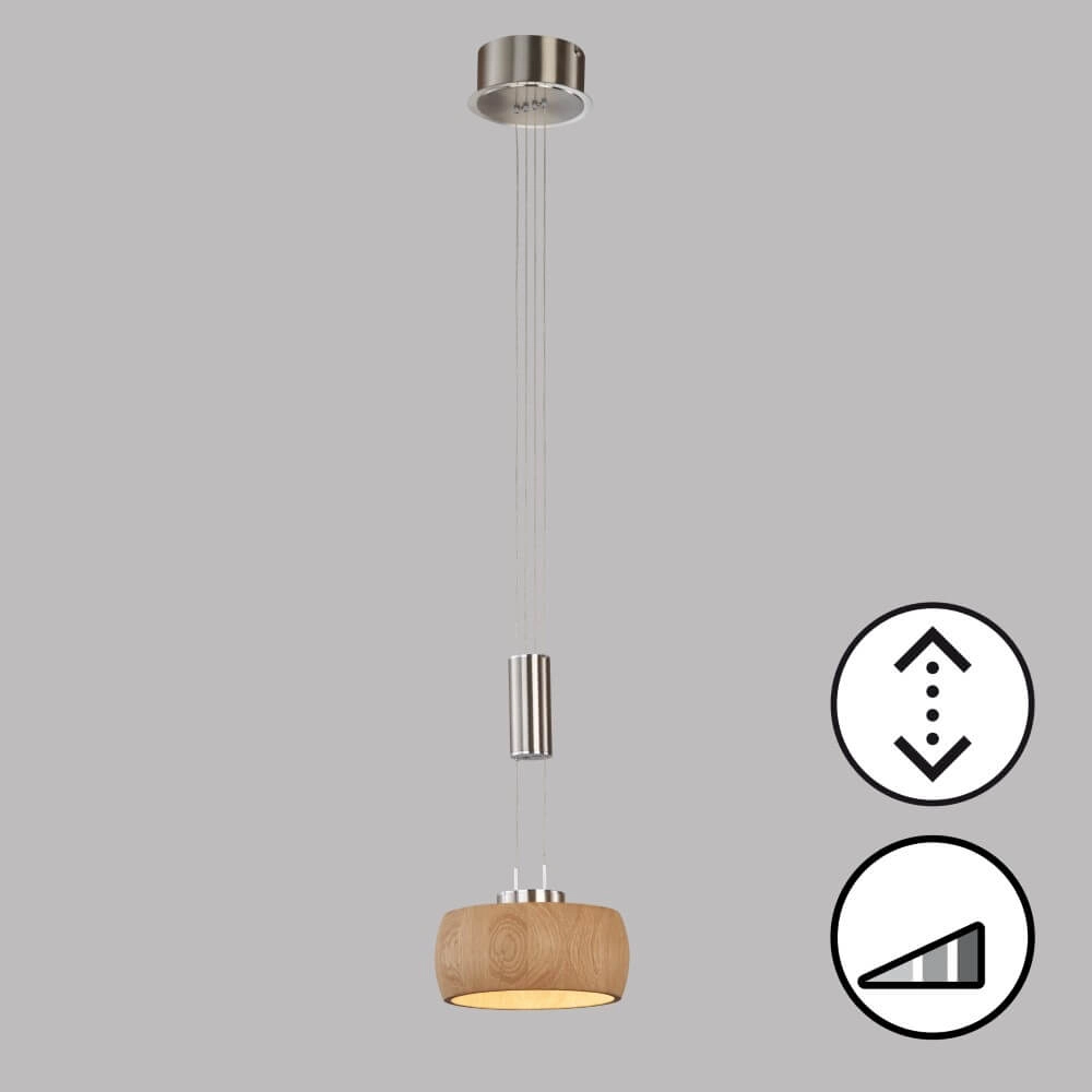 Lampe suspendue Shine-Wood dirigé Fischer & Honsel 4003694610759