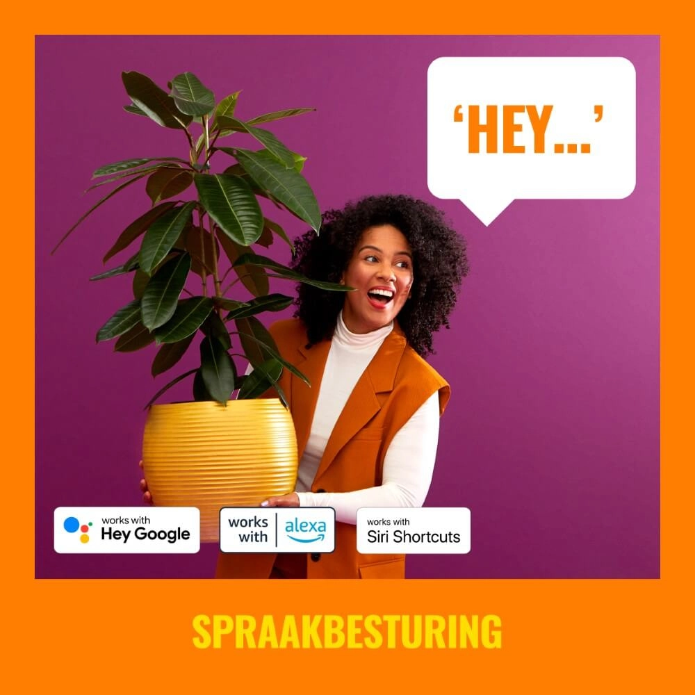 Spot mural Up and Down intelligent - blanc WiZ 8719514554597