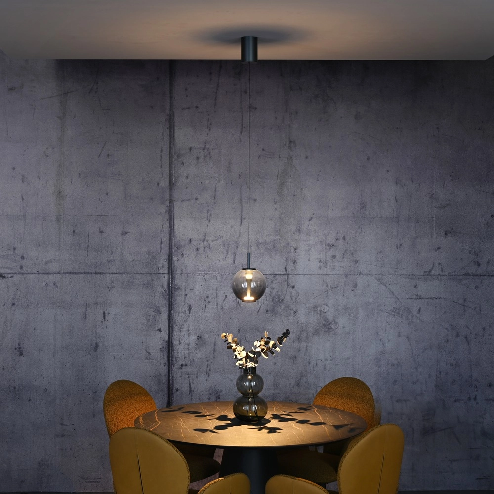 Suspension LED Pure Infinity avec verre fumé - Ø 18cm Paul Neuhaus 4012248399033