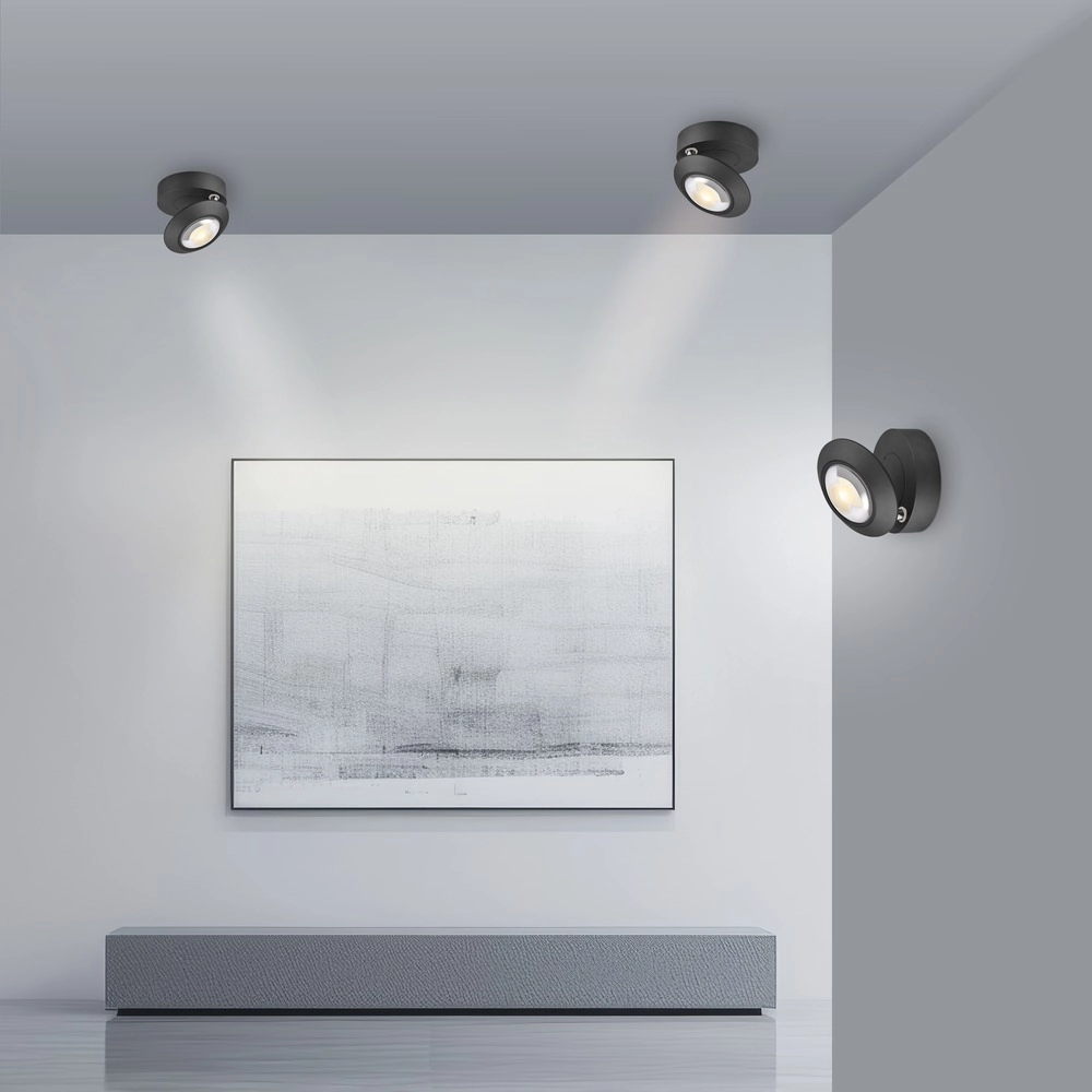 Spot LED au plafond Pure Oculis Black Pearl Paul Neuhaus 4012248397053