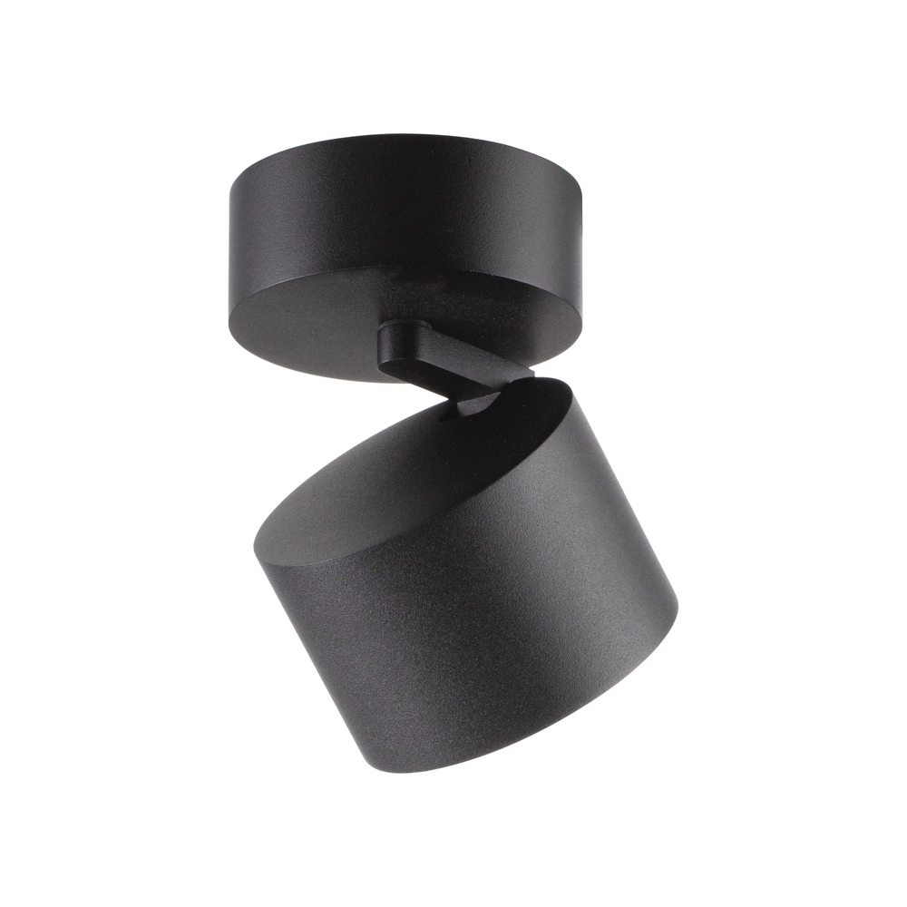 Spot lisse monté en surface Pure Cup Black Pearl Paul Neuhaus 4012248395585