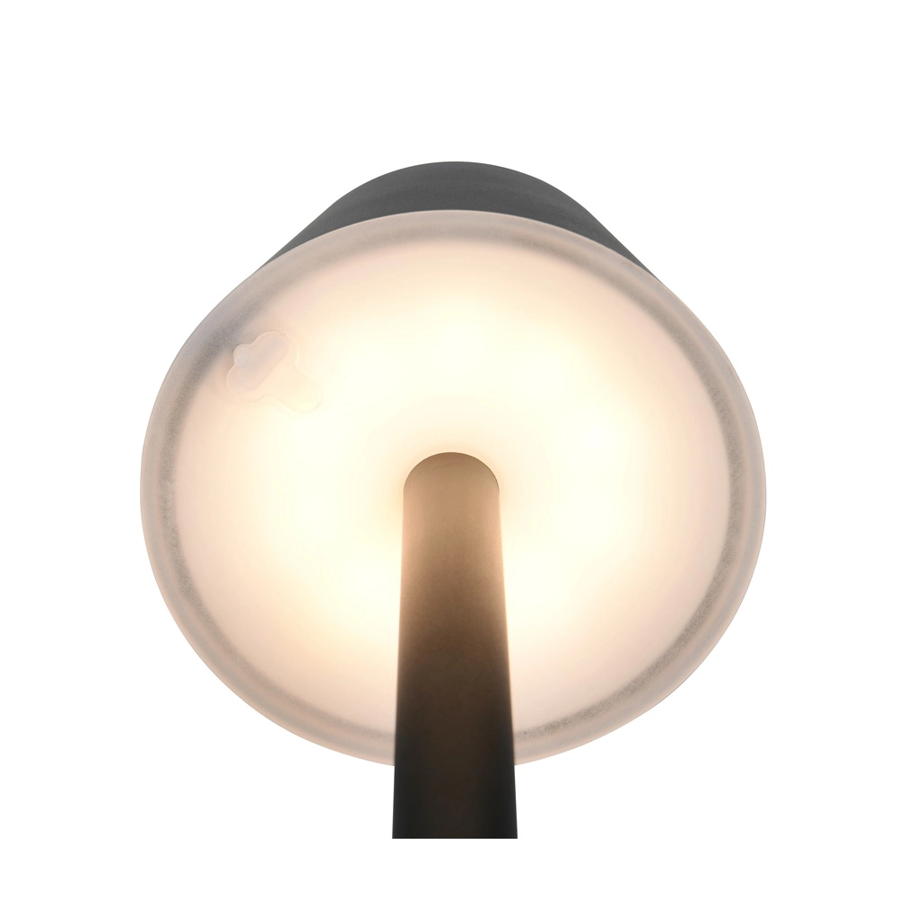 Lampe de table rechargeable Vidal noir Trio 4017807644838