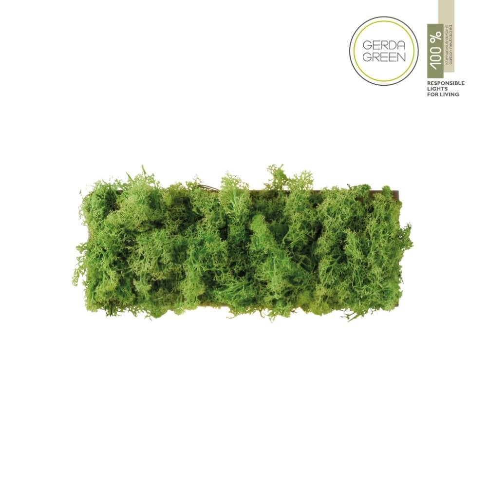 Plafonnier rectangulaire Green Carlo avec de la mousse Just Light 4043689994853