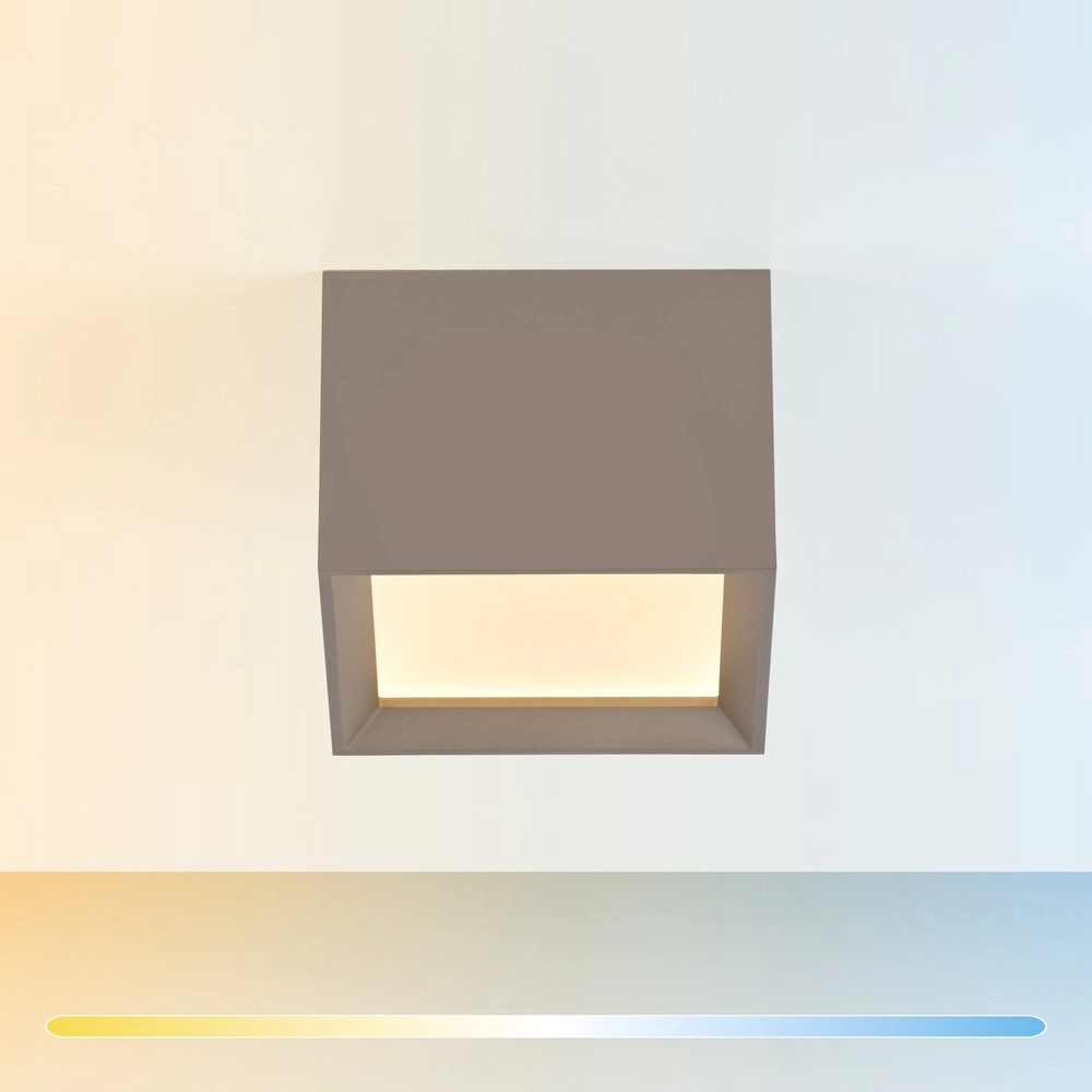 Spot à LED monté en surface Pure Manhattan Bronce Paul Neuhaus 4012248396858