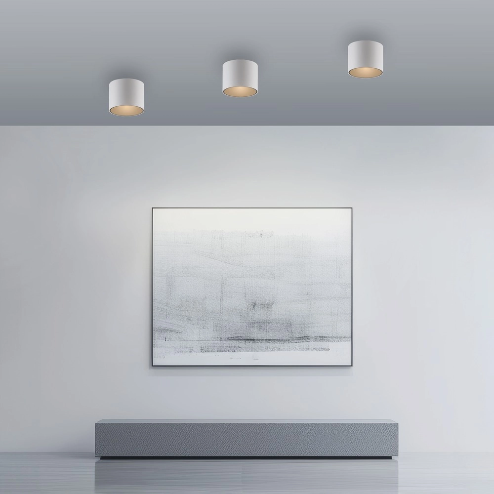 Emplacement monté en surface au plafond Pure Point Ø 11cm - blanc Paul Neuhaus 4012248395639