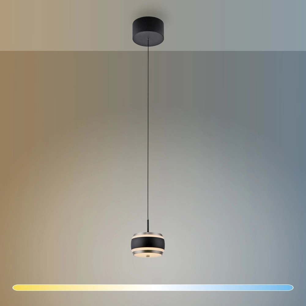 Pendentif LED élégant Pure Falling Rings Black Pearl Paul Neuhaus 4012248396551