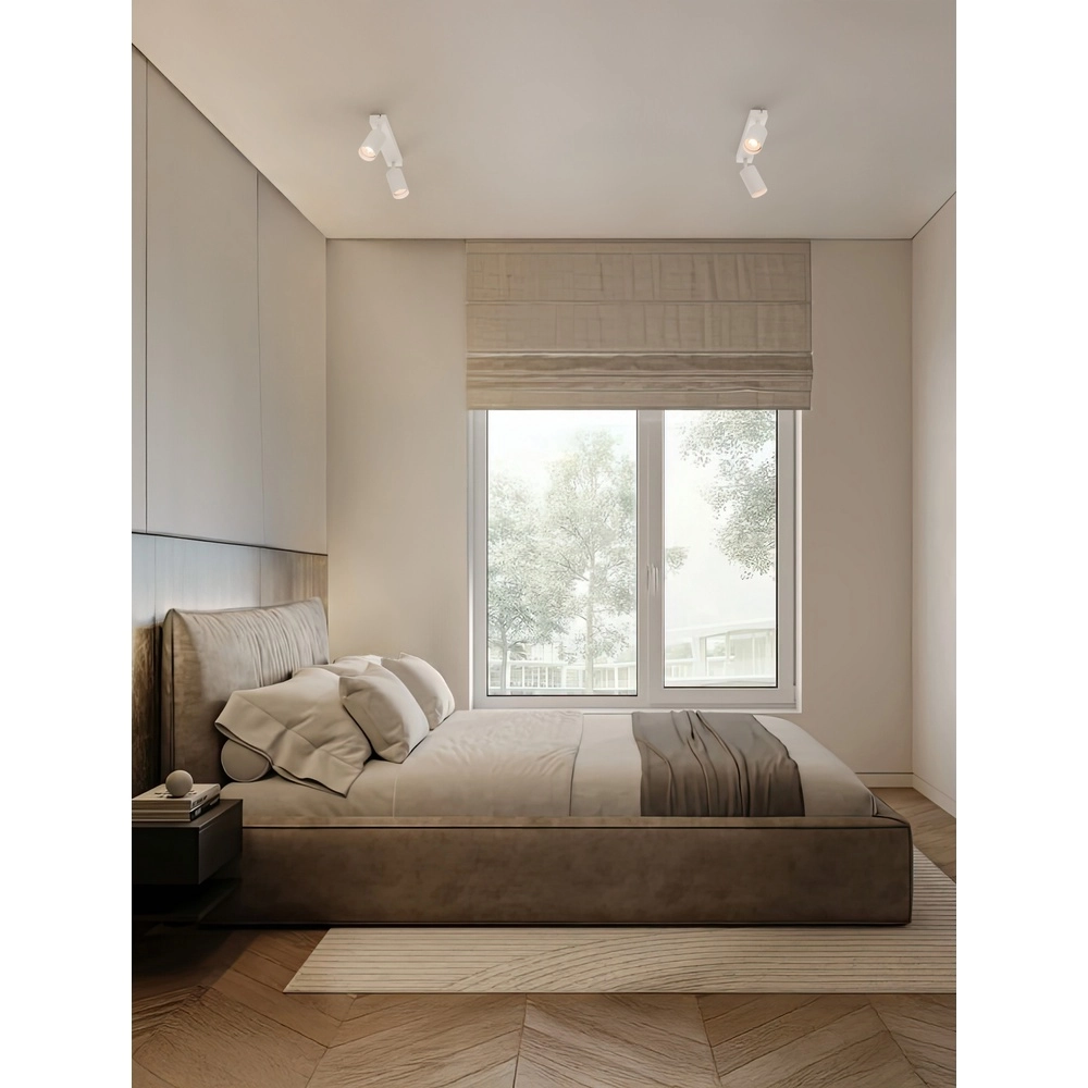 Spot de plafond Reig 2-blanc le plus léger Lyora 5212017477941