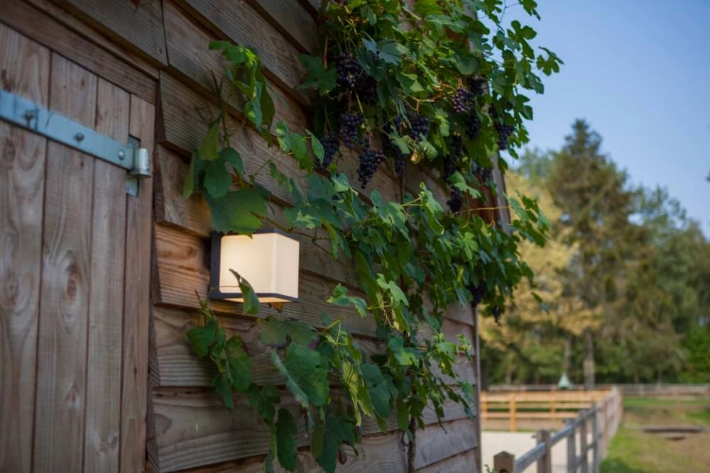 Applique carrée Doblo anthracite Lutec 6939412012490