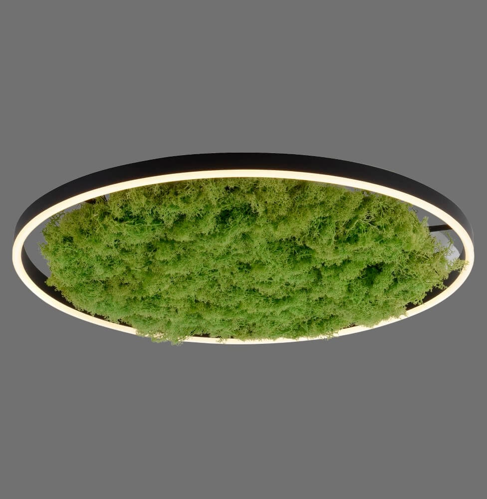 Plafonnier Green Ritus avec mousse Ø 58,5cm Just Light 4043689994808
