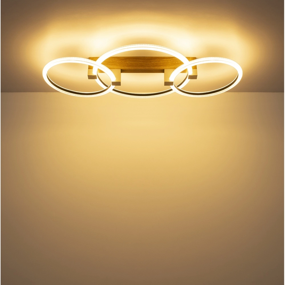 Lampe de plafond en bois Fletcher Conception Globo 9007371580293