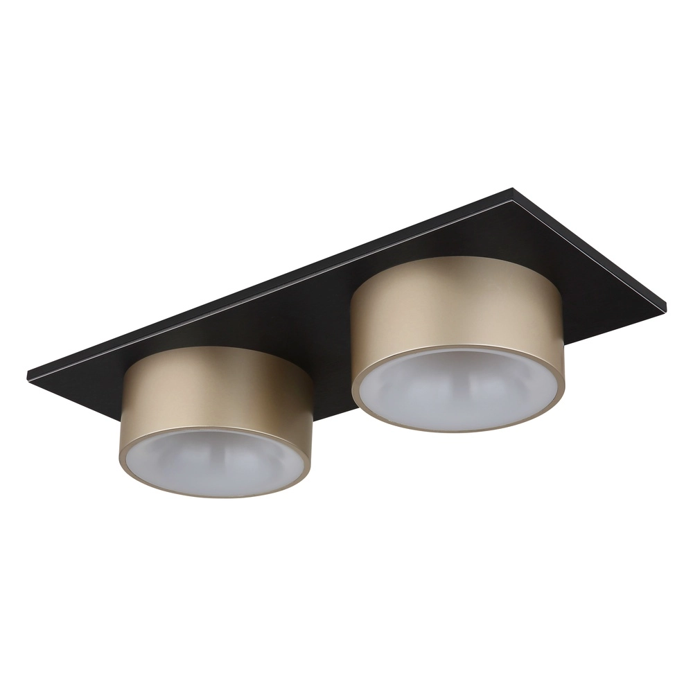 Lampe de plafond à deux lumières Raymond noir avec du champagne Globo 9007371522873