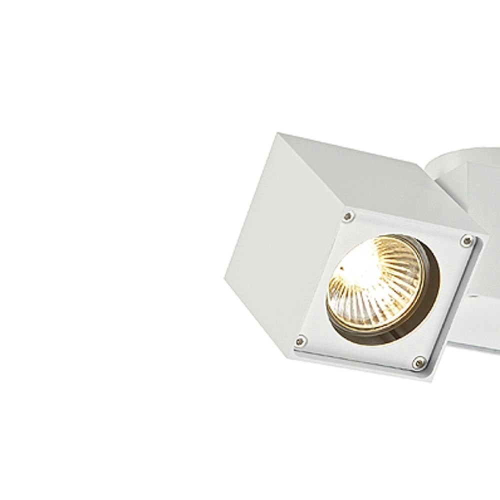 spot Altra Dice Spot 2 2 lumières blanc SLV 4024163129763