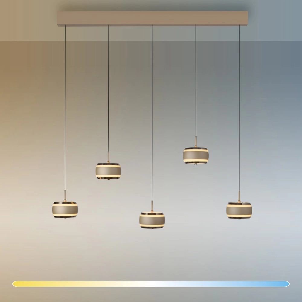 Lampe suspendue de table de salle à manger 5L Pure Falling Rings Bronce Paul Neuhaus 4012248396582