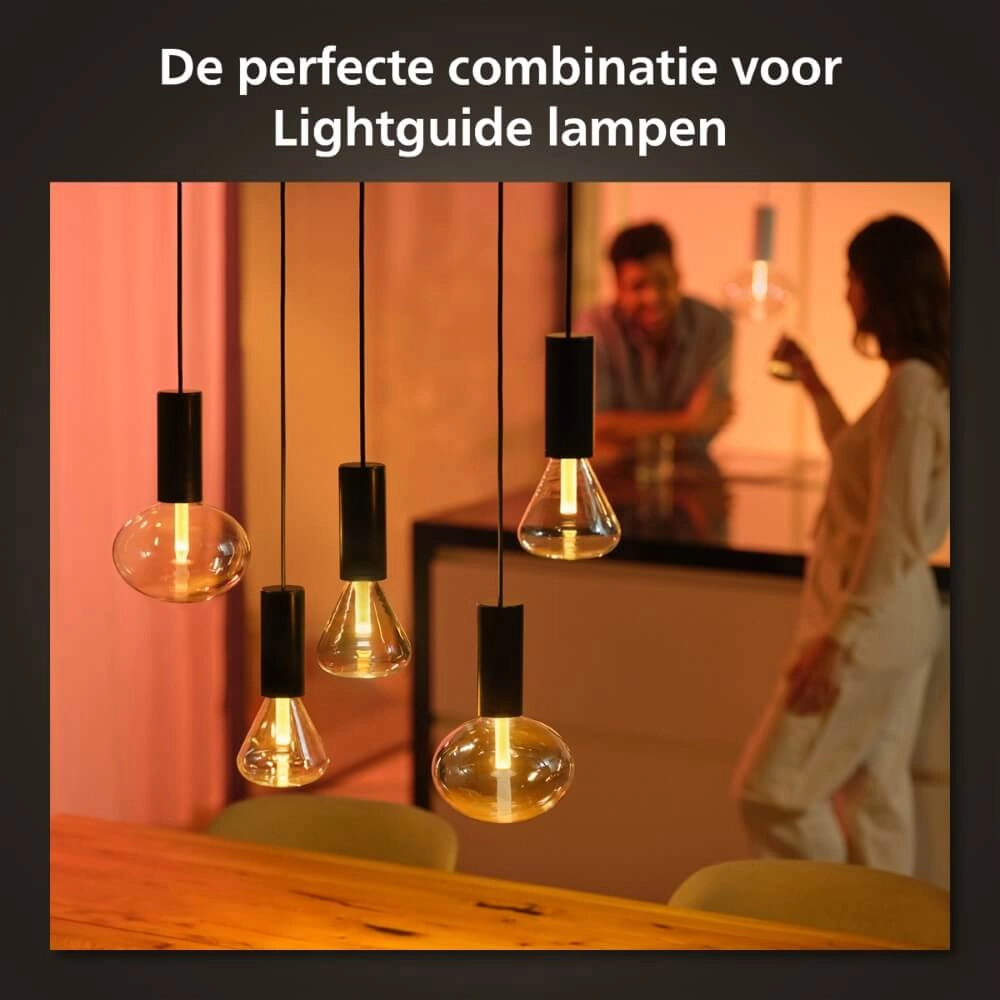 Hue Lightguide Cord Philips 8719514419452