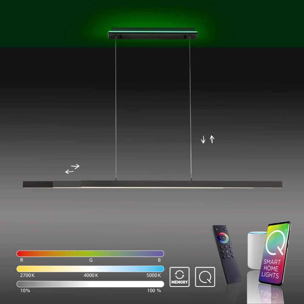 Lampe suspendue moderne Q-Arian anthracite Paul Neuhaus 4012248359846