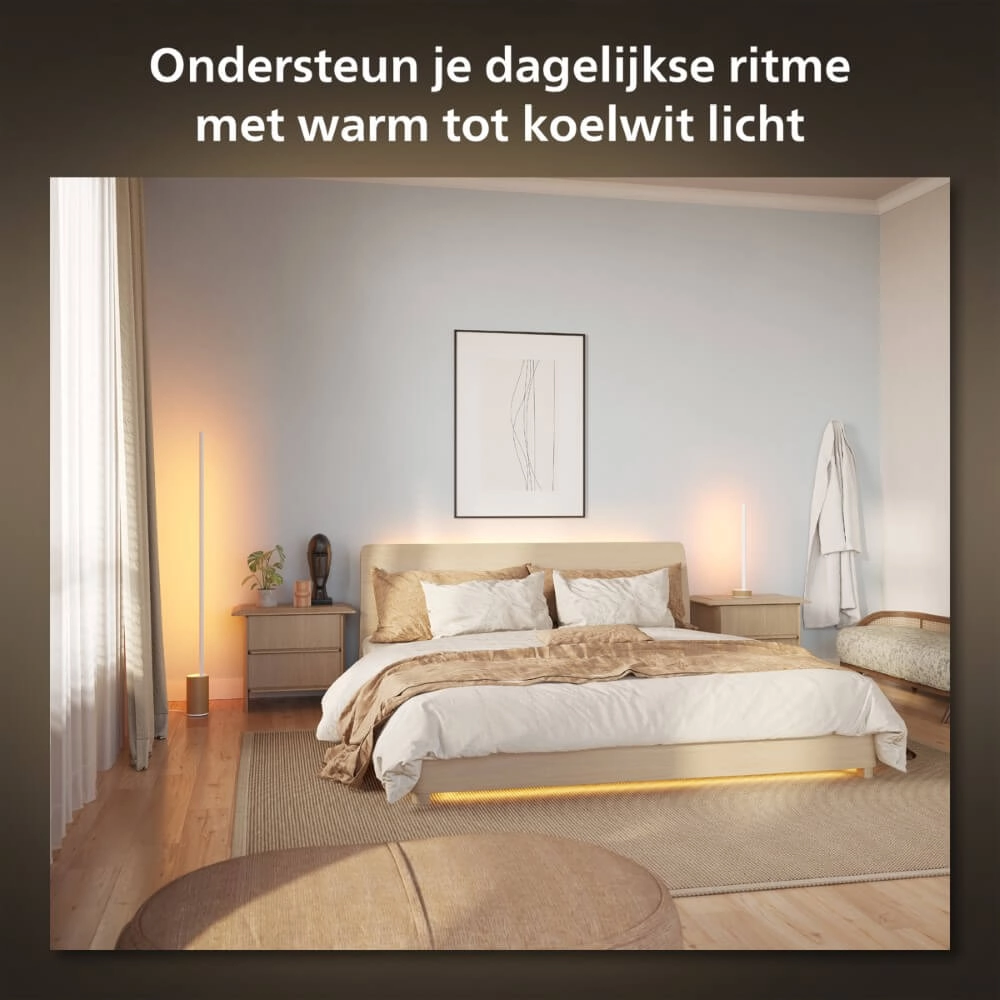 Lampadaire intelligent Hue Signe - White and color Philips 8719514433526