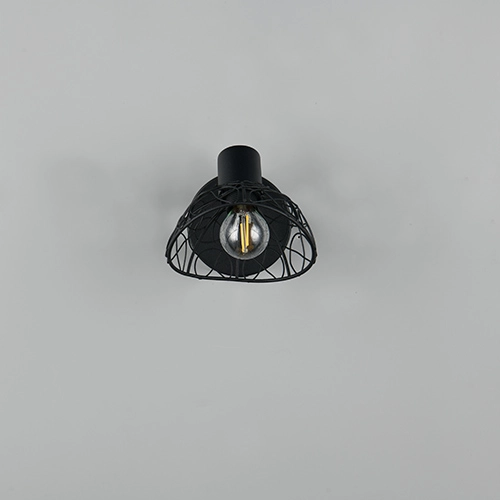 Lampe de plafond Yako Noir simple Trio 4017807670912
