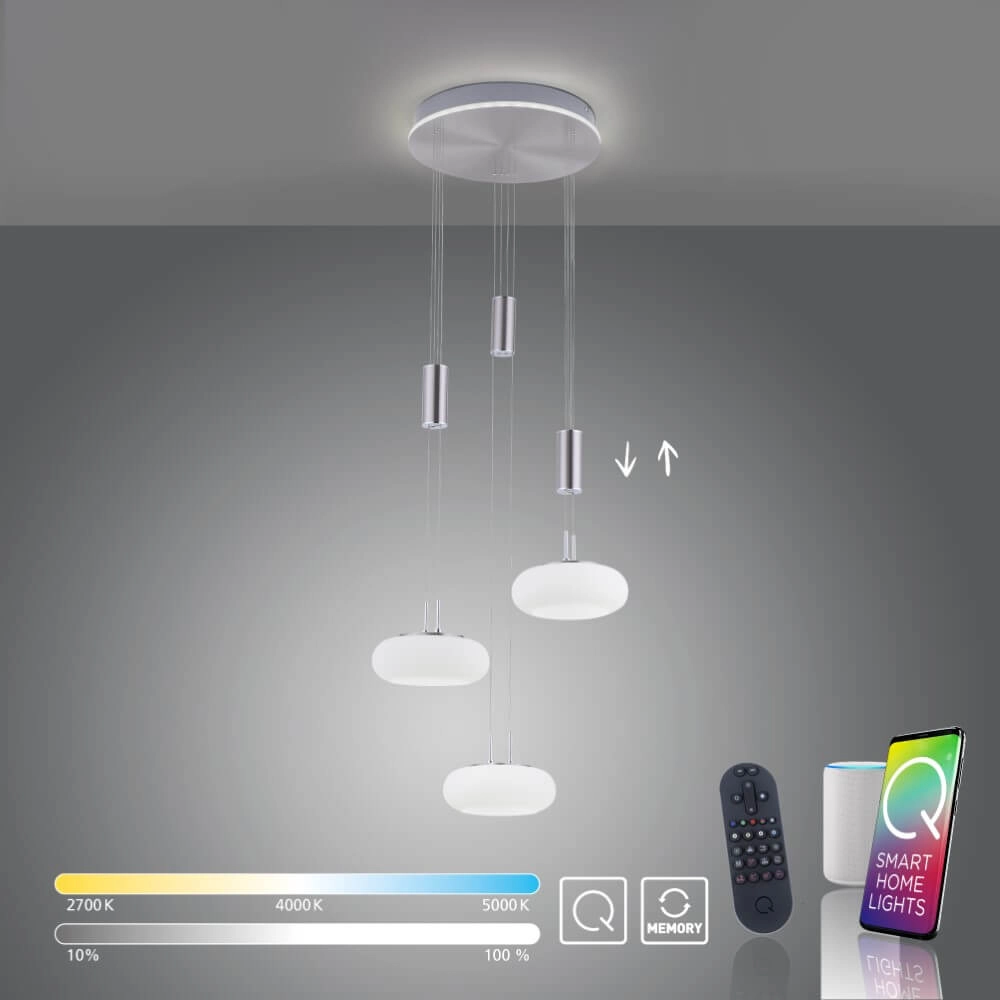 Lampe suspendue 3 lumières Q-Etienne rond en métal Paul Neuhaus 4012248350447