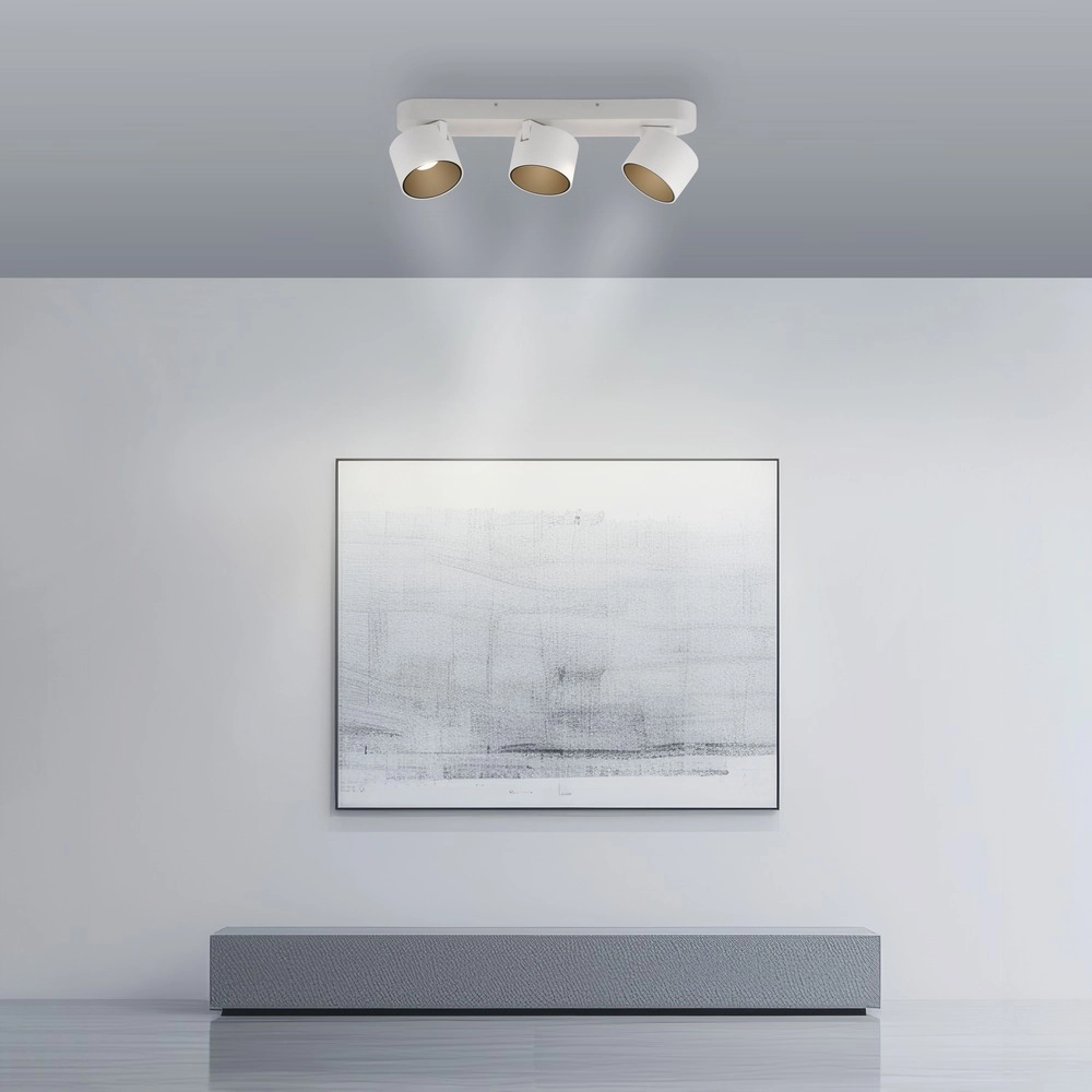 Projecteur à LED 3L monté en surface Pure Cup Blanche-Neige Paul Neuhaus 4012248395608