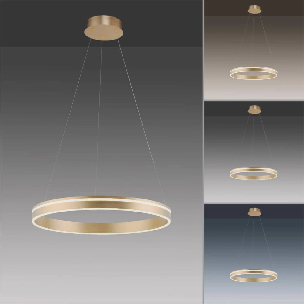 Lampe suspendue design Q-Vito Ø 59cm en laiton Paul Neuhaus 4012248357767
