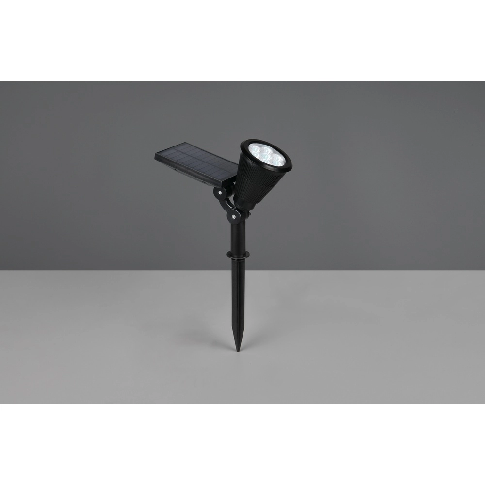 Tache de pointe Festival Noir Solaire Trio 4017807622584