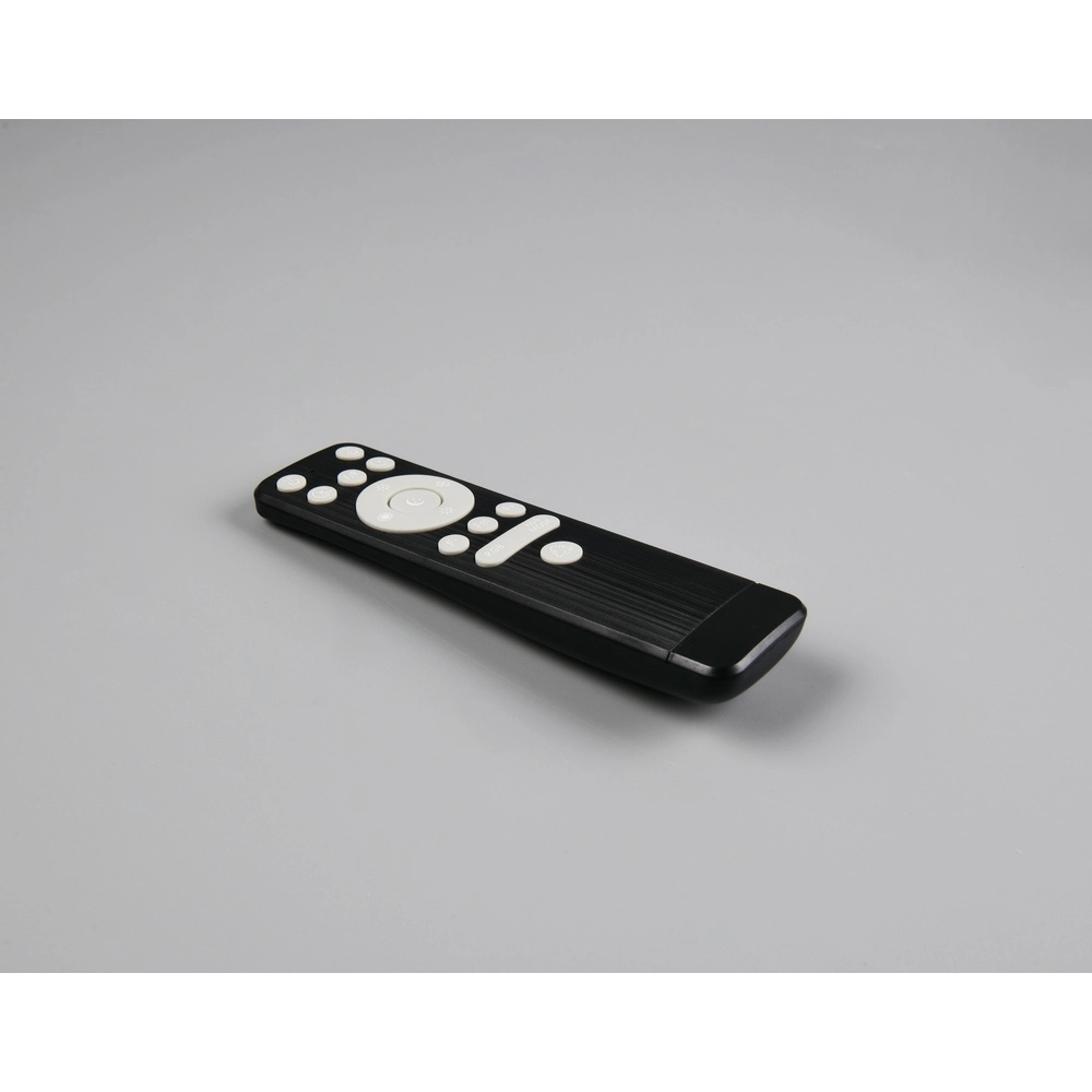 Ventilateur de conception Svaerholt noir Ø 60cm avec fonction RVB Trio 4017807688795