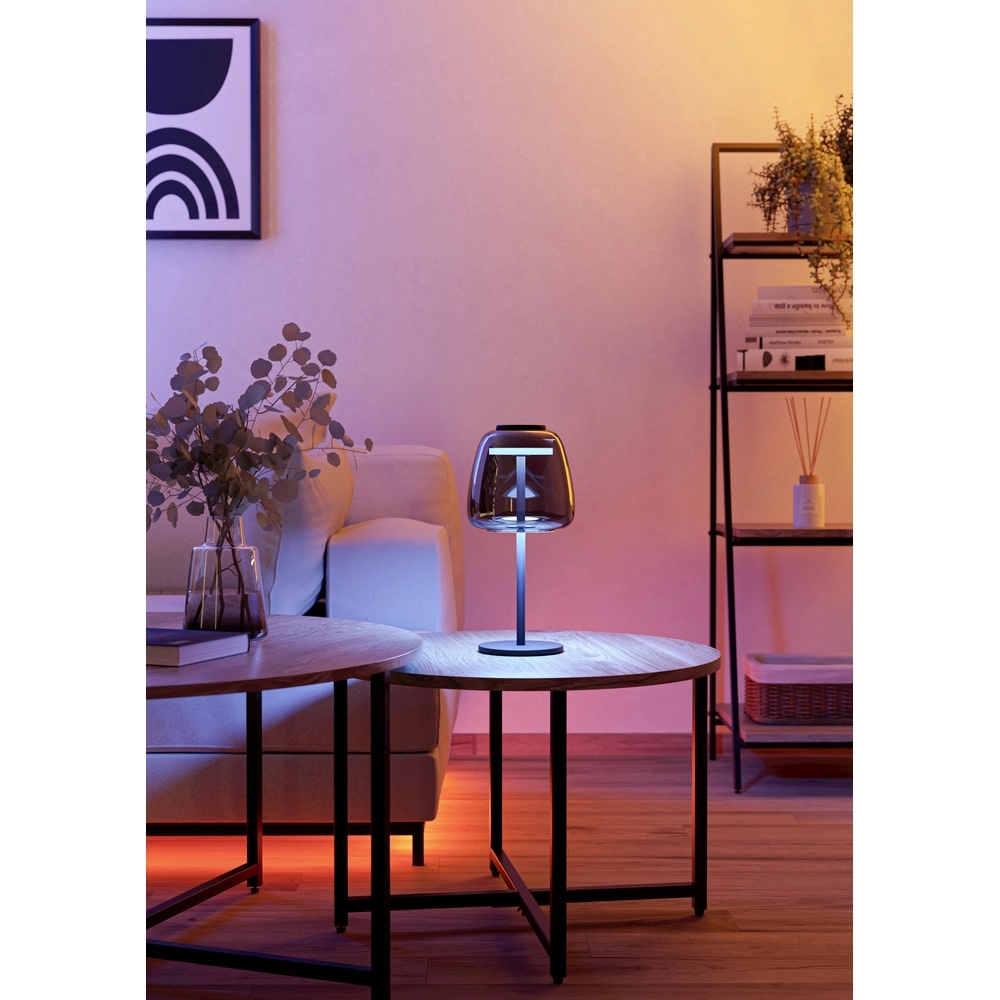 Lampe de table Alfero-Z Smoke Glass - Contrôle par application Eglo 9008606312863