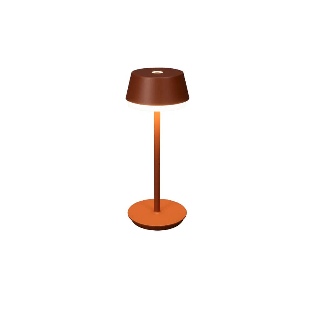 Lampe de table Lyon terre cuite avec fonction RVB