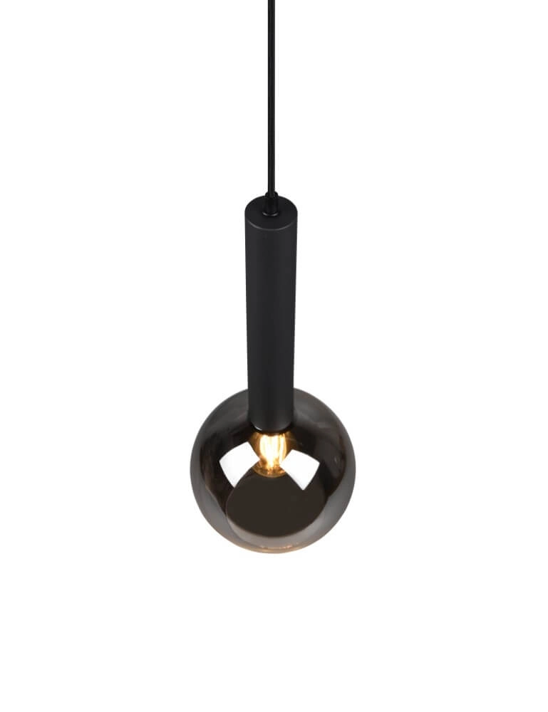 Lampe suspendue Clayton noir avec verre fumé Trio 4017807532951