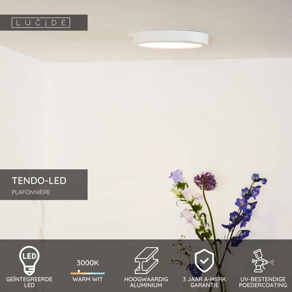 Lumière blanche de plafond Tendo-Led Ø 22cm Lucide 5411212071767