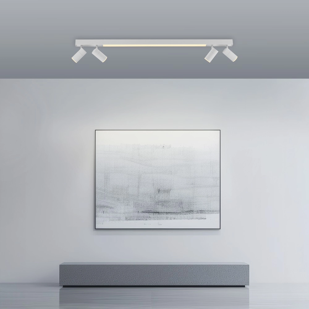 Emplacement monté en surface au plafond Pure Lines Spot 110 cm - blanc Paul Neuhaus 4012248395837