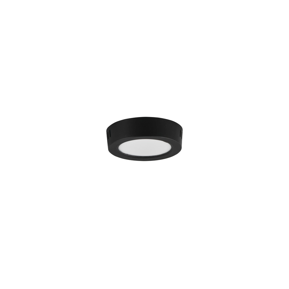 Lampe de plafond Laru Ø 12cm noir Trio 4017807711509