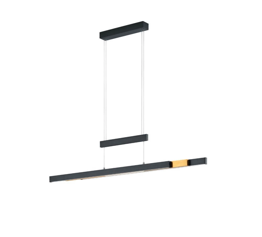 Lampe suspendue Trajan noir Trio 4017807504446