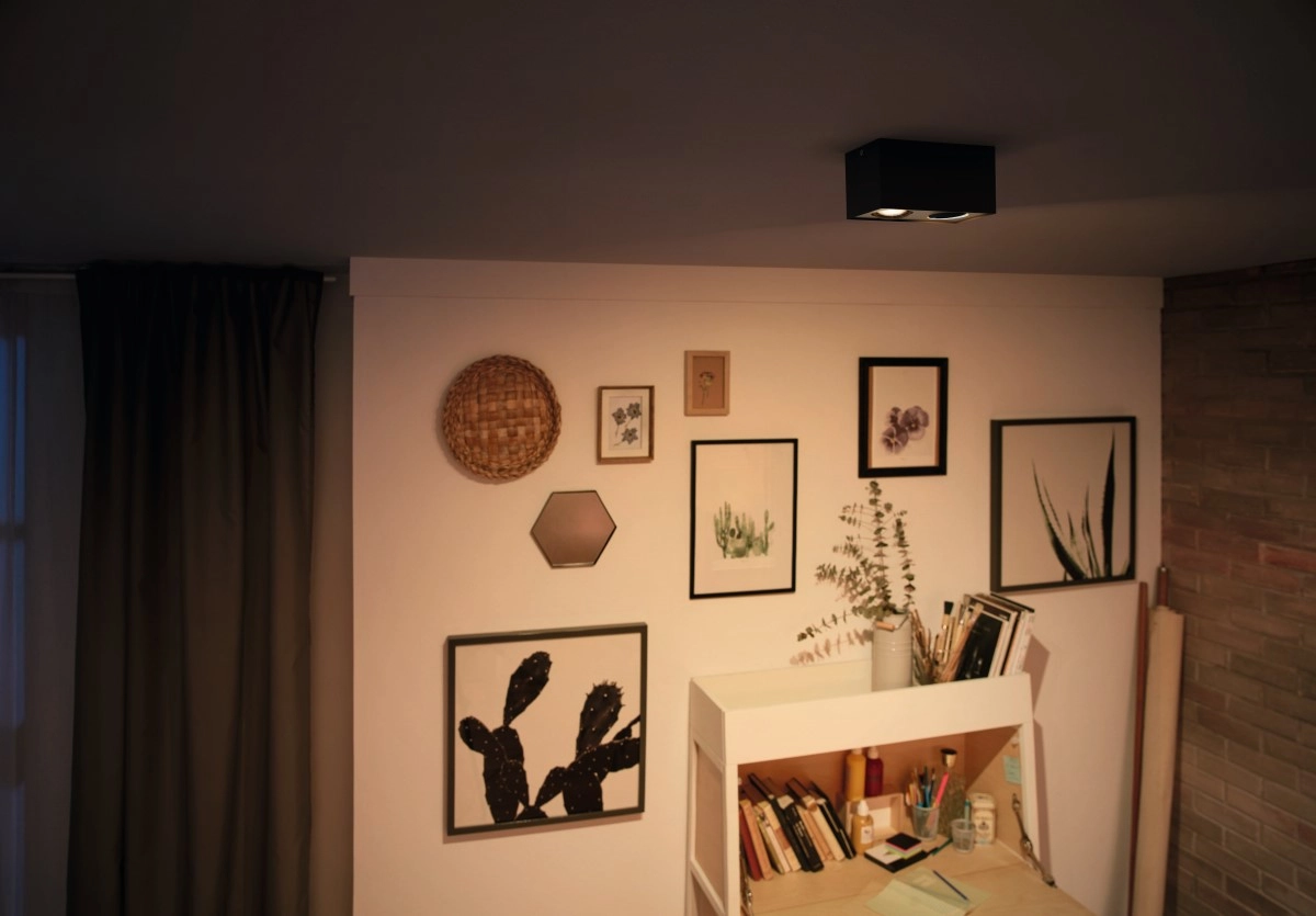 Lampe Box 2 lumières noir Philips 8718696164532