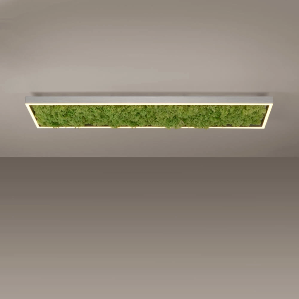 Plafonnier rectangulaire Green Knut avec de la mousse Just Light 4043689994846