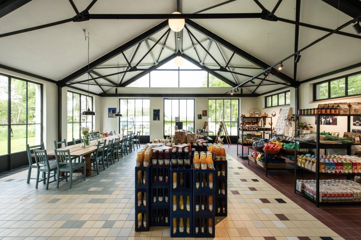 Railspot 3-phasé Numinos M Dali noir 3000K - 36 deg SLV 4024163246170