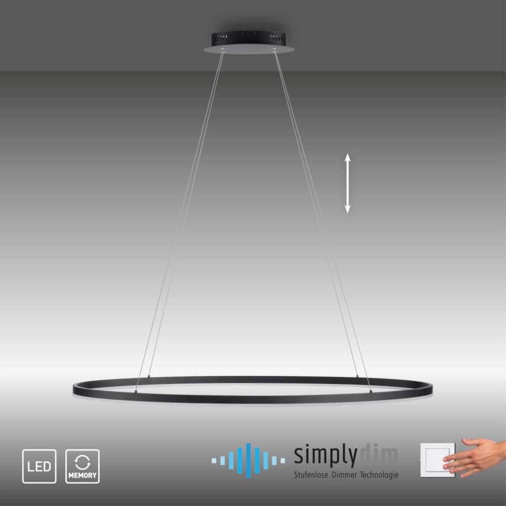 Lampe à suspension anthracite Titus Ø 118 cm Paul Neuhaus 4012248375228