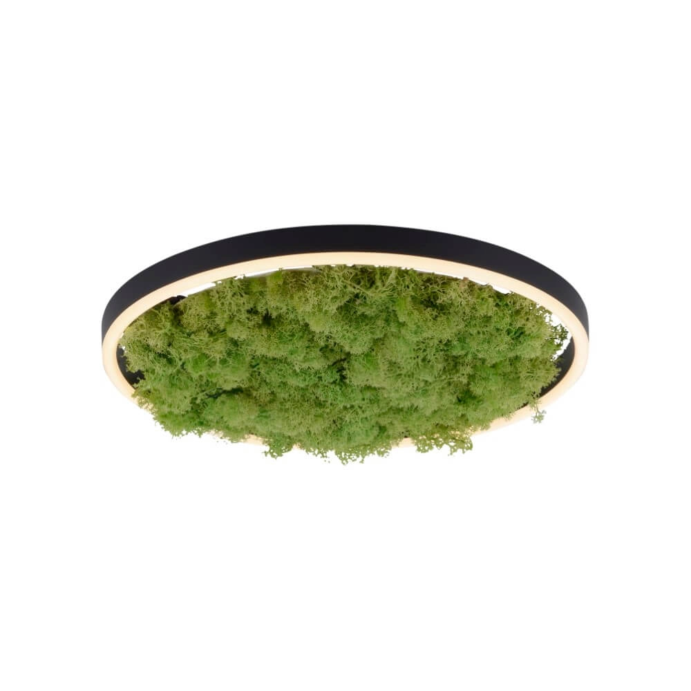 Plafonnier Green Ritus avec mousse Ø 39,3cm Plafonnier Green Ritus avec mousse Ø 39,3cm