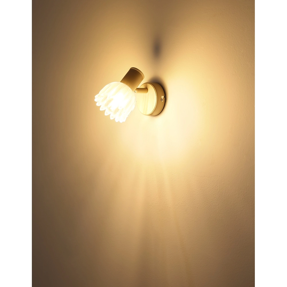 Spot mural Planta brun sable Globo 9007371566938