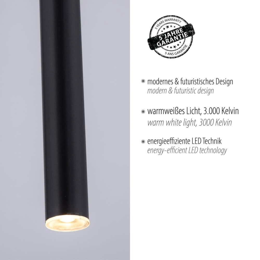 Lampe suspendue unique Flute 1 lumière noir Paul Neuhaus 4012248374764