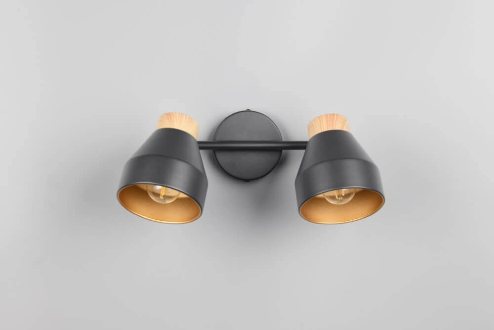 Plafonnier design 2 lumières Valentin noir Trio 4017807637410