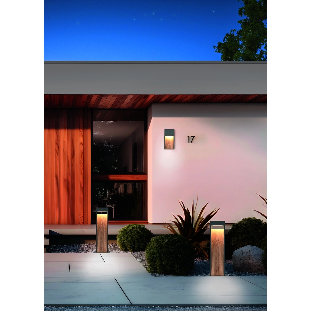 Applique murale design Salmon Gris avec bois Trio 4017807603705