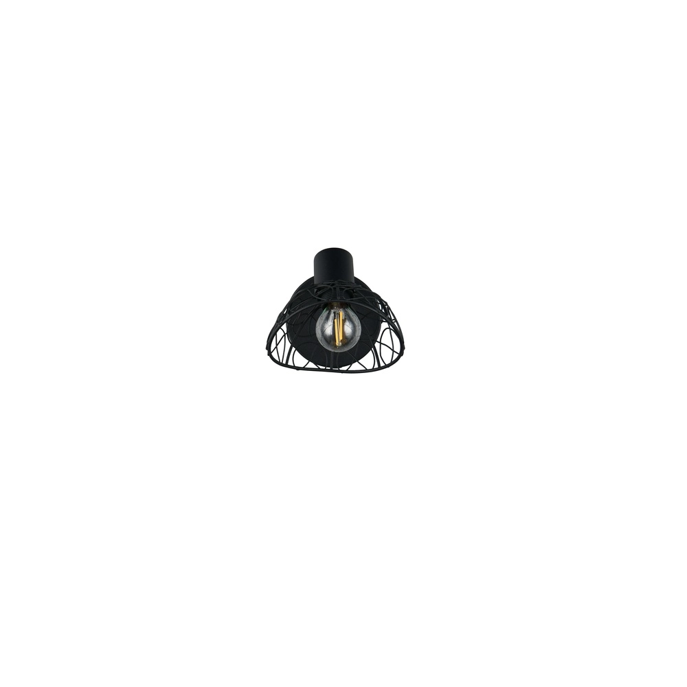 Lampe de plafond Yako Noir simple Trio 4017807670912