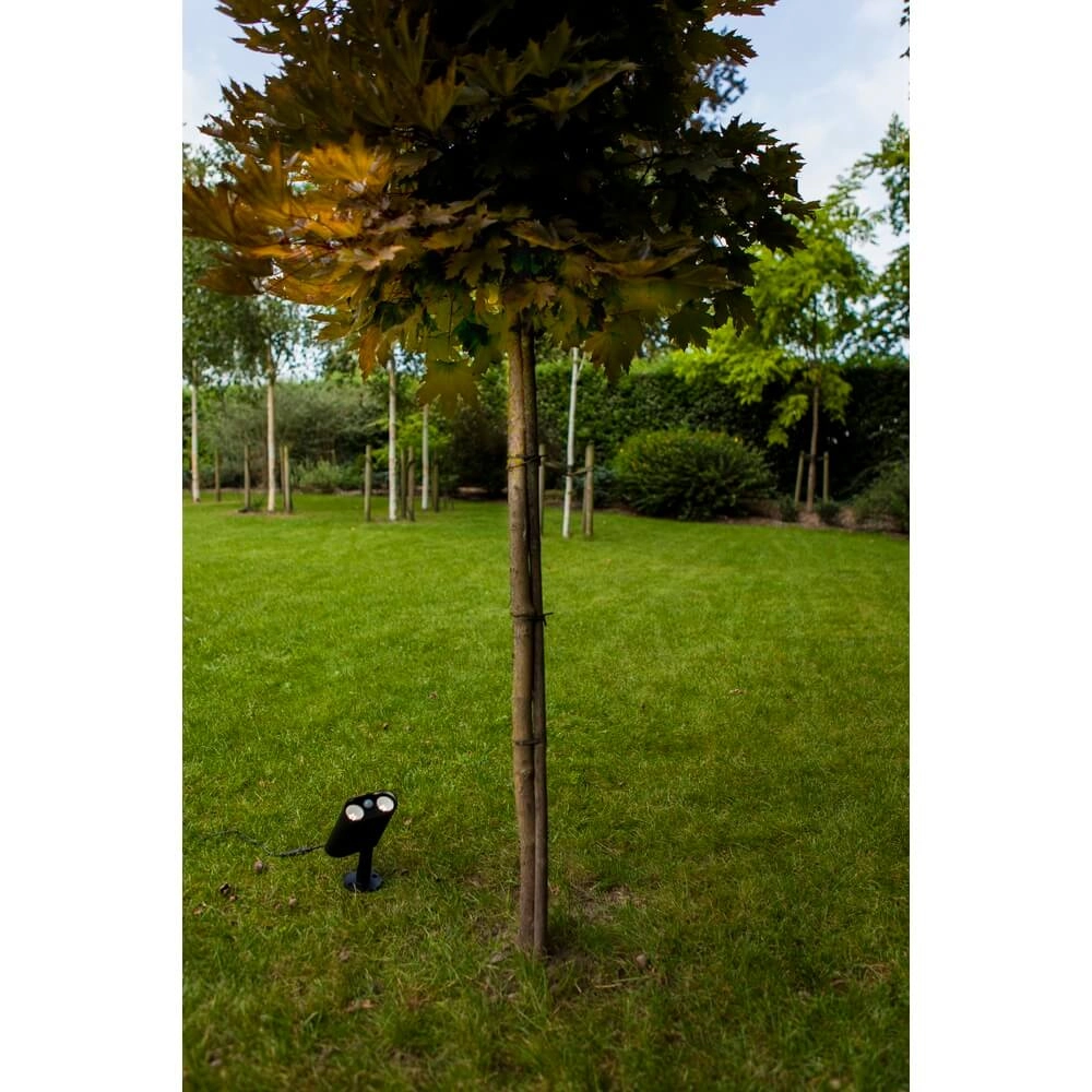 Lampe de jardin solaire Bingo avec capteur de mouvement Lutec 6939412089980